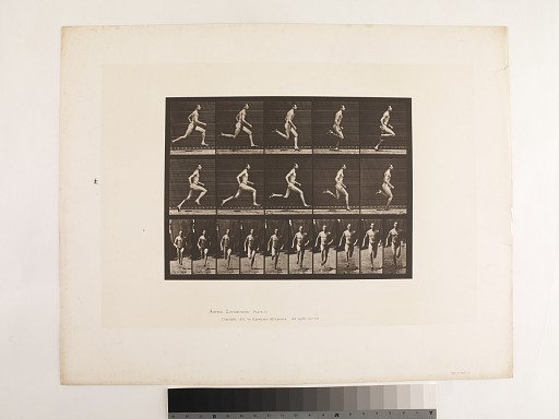 "Animal Locomotion. Plate 60."; Male, Running at a half-mile gait (shoes)