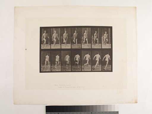 "Animal Locomotion. Plate 66."; Male, Running