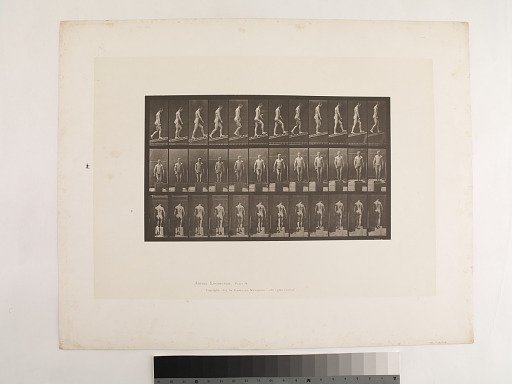 "Animal Locomotion. Plate 74."; Male, Ascending incline, angle 1 in 4