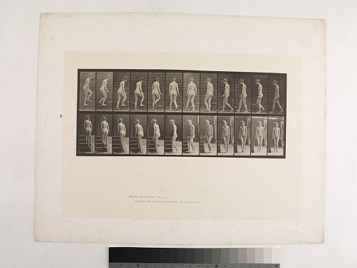 "Animal Locomotion. Plate 98."; Female; Turning, walking upstairs