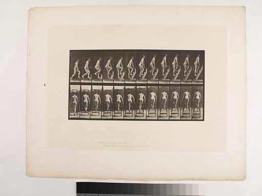 Animal Locomotion. Plate 109.
