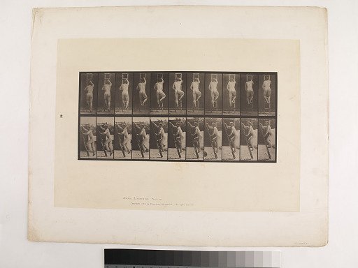 Animal Locomotion. Plate 111.