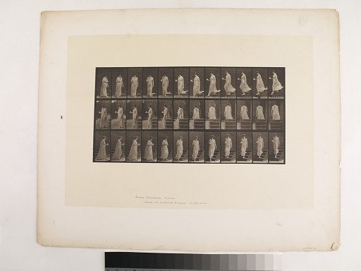 "Animal Locomotion. Plate 143."; Female, Descending stairs turning cup and saucer in right hand