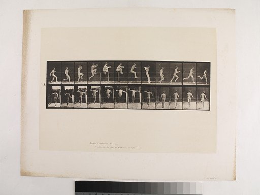 "Animal Locomotion. Plate 154."; Male, Jumping; running straight high jump