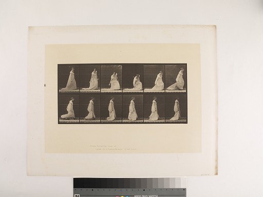 Animal Locomotion. Plate 207.