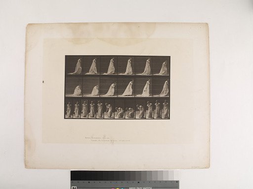Animal Locomotion. Plate 209.