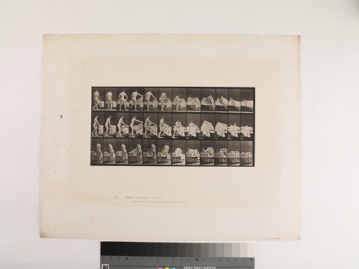 Animal Locomotion. Plate 263.