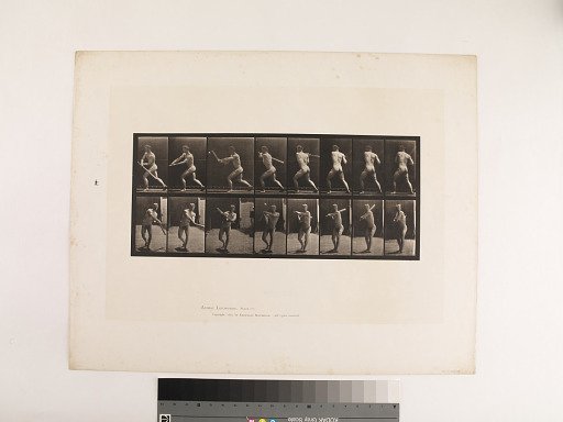 Animal Locomotion. Plate 278.