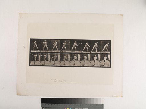 Animal Locomotion. Plate 279.