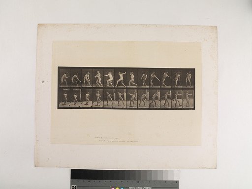 Animal Locomotion. Plate 284.
