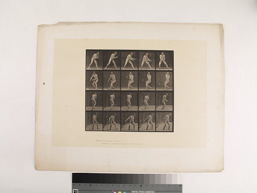 Animal Locomotion. Plate 288.