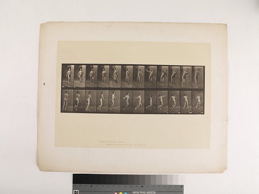 Animal Locomotion. Plate 289.