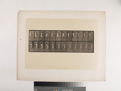 Animal Locomotion. Plate 292.