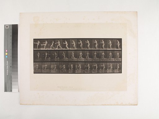 Animal Locomotion. Plate 301.
