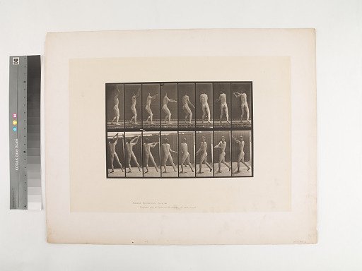 Animal Locomotion. Plate 309.