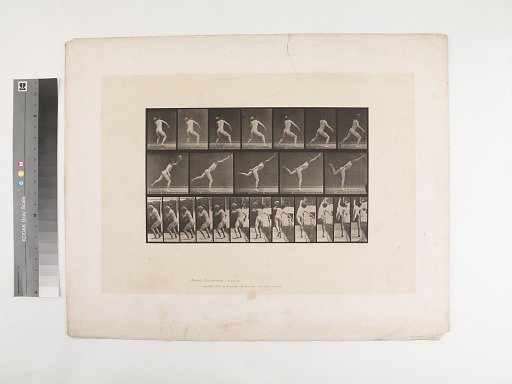 Animal Locomotion. Plate 316.