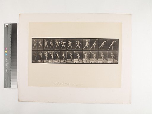 Animal Locomotion. Plate 319.