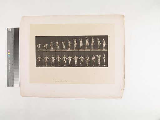 Animal Locomotion. Plate 321.
