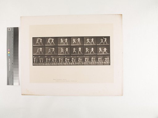 Animal Locomotion. Plate 329.