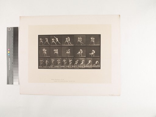 Animal Locomotion. Plate 331.