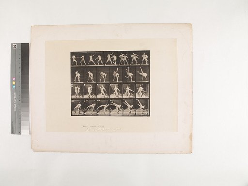 Animal Locomotion. Plate 332.