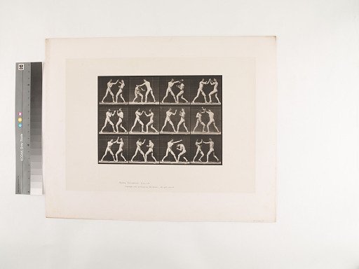 Animal Locomotion. Plate 336.
