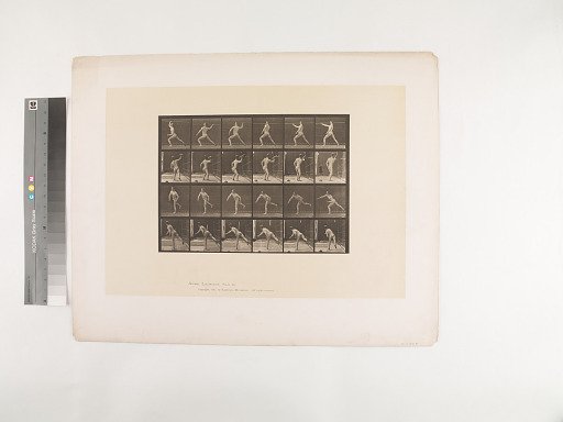 Animal Locomotion. Plate 360.
