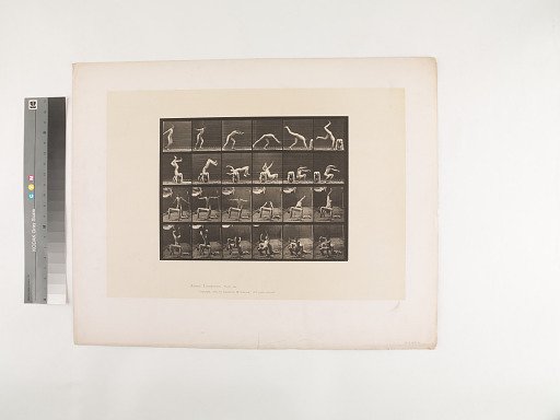 Animal Locomotion. Plate 364.