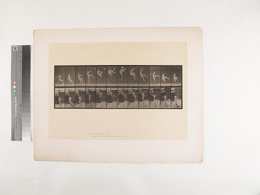 Animal Locomotion. Plate 366.