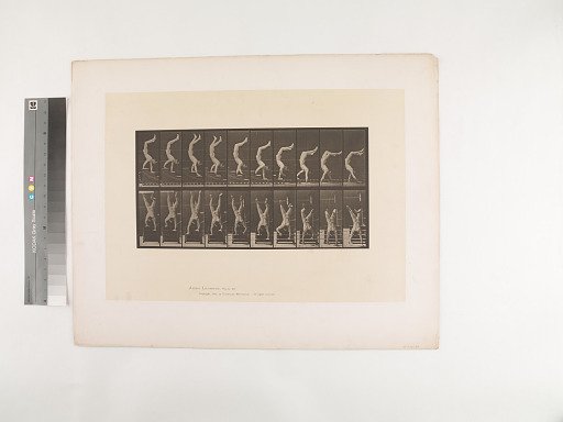 Animal Locomotion. Plate 368.