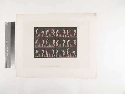 Animal Locomotion. Plate 374.