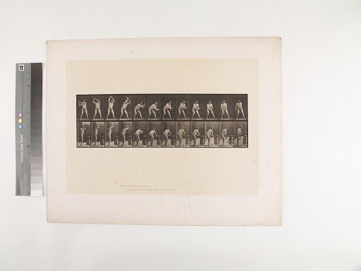 Animal Locomotion. Plate 376.