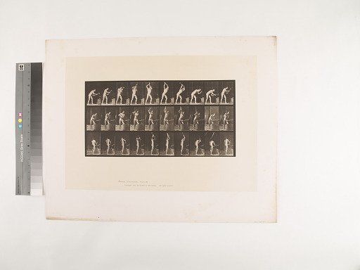 Animal Locomotion. Plate 378.