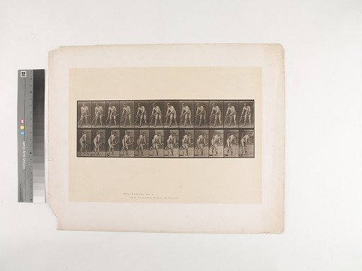 Animal Locomotion. Plate 391.