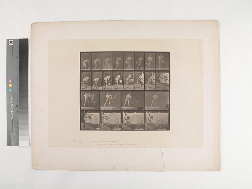 Animal Locomotion. Plate 400.