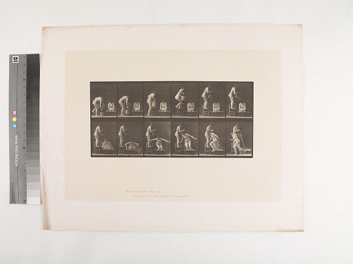 Animal Locomotion. Plate 406.