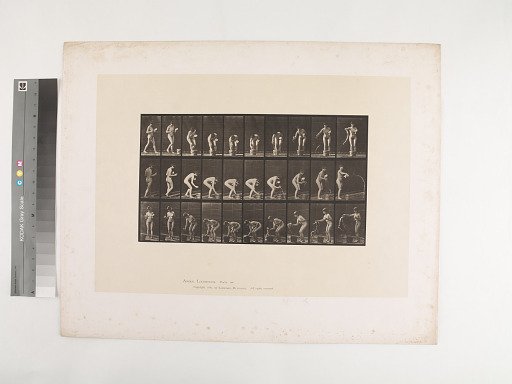Animal Locomotion. Plate 440.