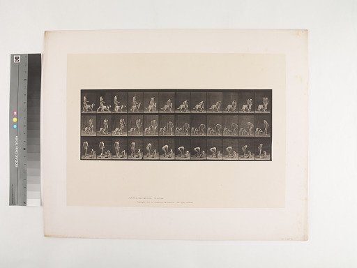 Animal Locomotion. Plate 449.