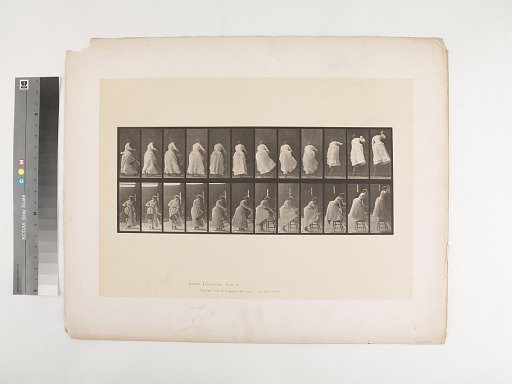 Animal Locomotion. Plate 457.