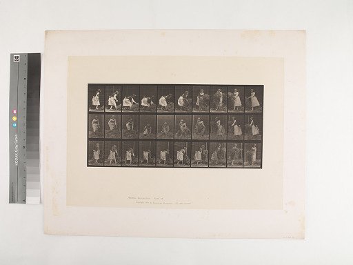 Animal Locomotion. Plate 458.