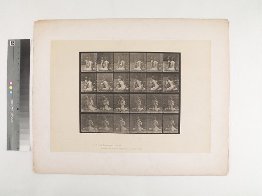 Animal Locomotion. Plate 466.