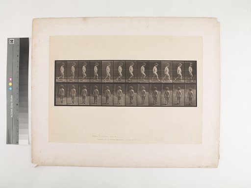 Animal Locomotion. Plate 467.