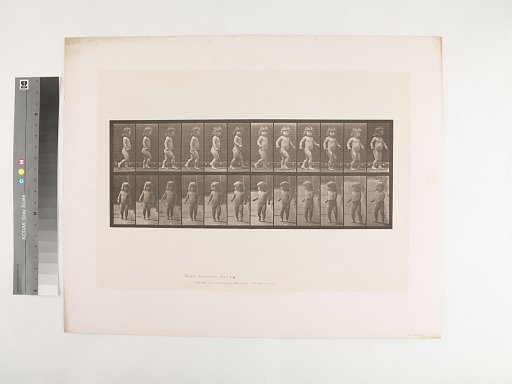 Animal Locomotion. Plate 468.