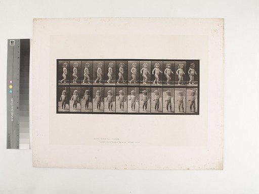Animal Locomotion. Plate 468.