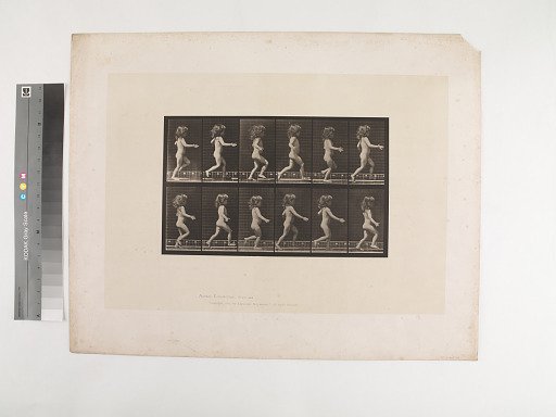 Animal Locomotion. Plate 469.