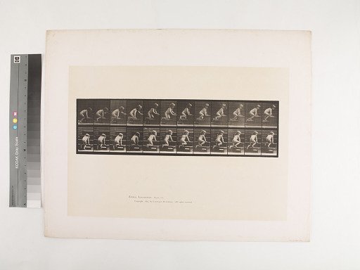 Animal Locomotion. Plate 472.