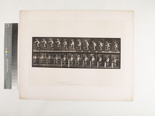 Animal Locomotion. Plate 473.