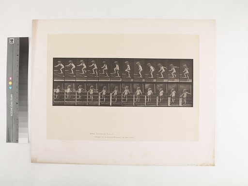 Animal Locomotion. Plate 473.