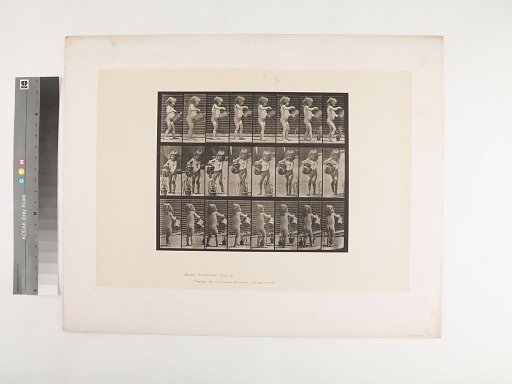 Animal Locomotion. Plate 478.