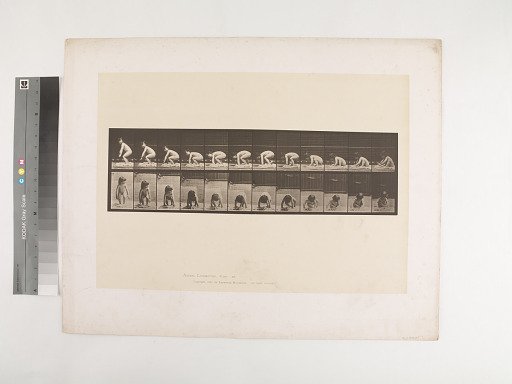 Animal Locomotion. Plate 479.